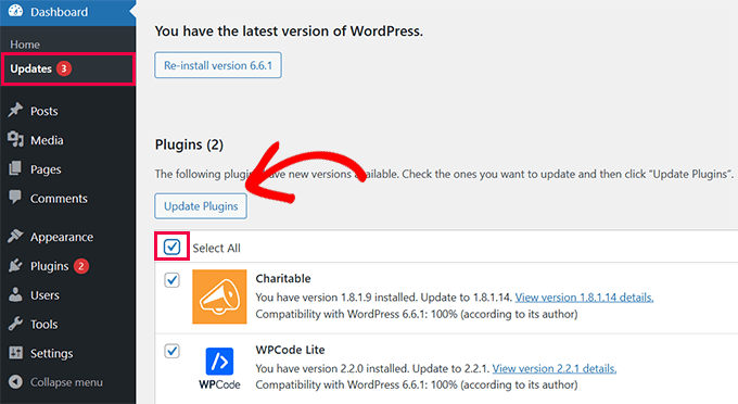 Installing WordPress updates